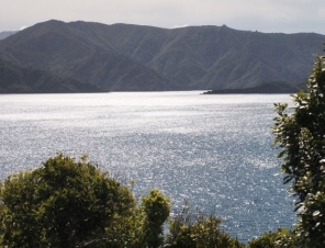 Great scenery on the Picton Wine and Gourmet Food tour